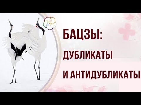 Видео: БАЦЗЫ: Дубликаты и антидубликаты в астрологической карте Бацзы. Прочитать судьбу!