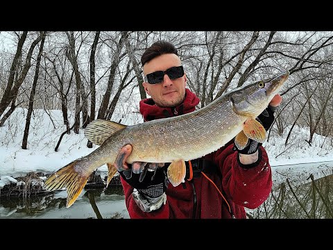 Видео: НАДУБАСИЛ ЩУК В МАРТЕ!!! ОТКРЫВАЮ СЕЗОН ЖИДКОЙ ВОДЫ 2025... РЫБАЛКА НА СПИННИНГ