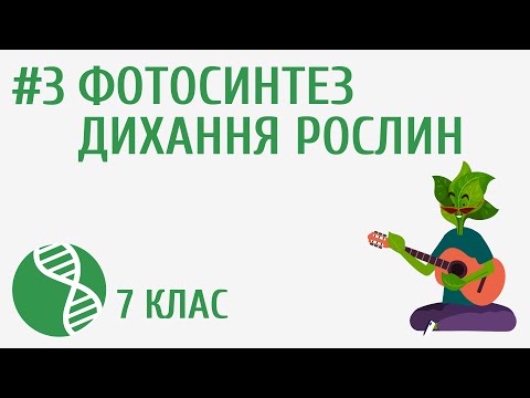 Видео: Фотосинтез та дихання рослин #3