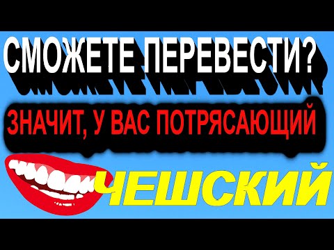 Видео: Сможете перевести? Значит, у вас потрясающий Чешский!