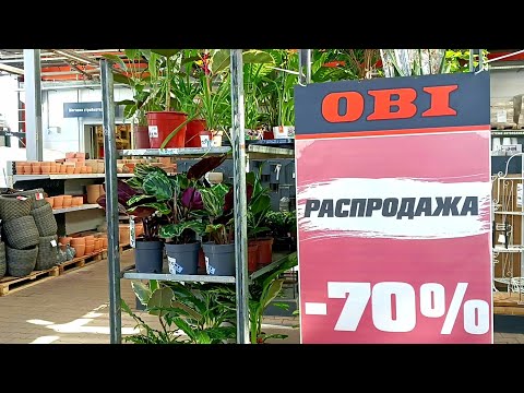 Видео: 🌷Оби🍃Уценка Цветов🪴🍂