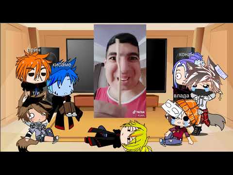 Видео: реакция акацки на т/и