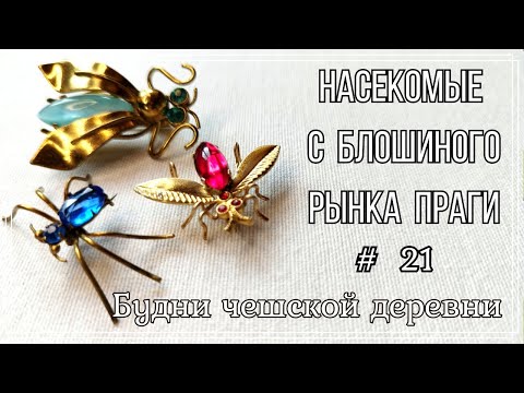 Видео: #21 Насекомые с блошиного рынка Праги \ Ремонт броши  \ Будни чешской деревни   #чешскаябижутерия