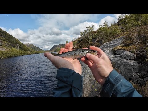 Видео: Моя первая форель в Норвегии. Велопоход на рыбалку.