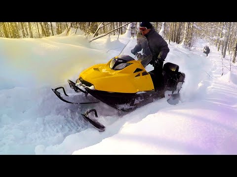 Видео: На СНЕГОХОДАХ по ТАЙГЕ