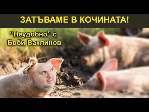 Видео: ЗАТЪВАМЕ В КОЧИНАТА! - НЕУДОБНО С БОБИ ВАКЛИНОВ - ГОСТ ВЕСИСЛАВА ТАНЧЕВА