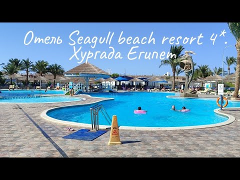 Видео:  Seagull beach resort 4* Хургада обзор отеля Часть 1.
