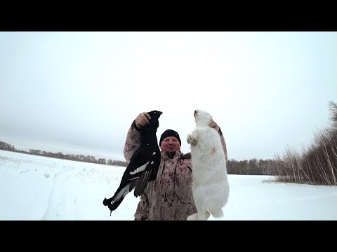 Видео: Чуть сердце в пятки не ушло, когда он вылетел.