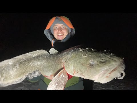 Видео: ТОННА РЫБЫ! КУДА СТОЛЬКО ЛОВИТЬ?!?!?! Первый лед 2024-25. Зимняя рыбалка.