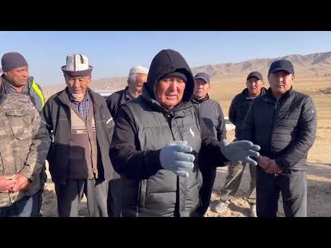 Видео: ✅ Мэр күзгү үрөн себүү иштерин баштап берди