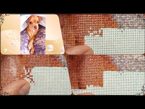 Видео: Процесс вышивки крестом🪡//Cross-stitch