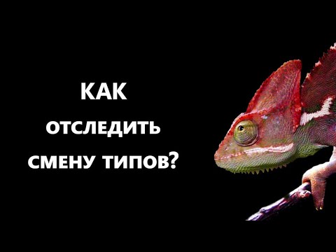 Видео: Как Рефлектору Отследить Смену Типов?