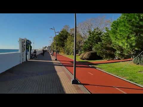 Видео: Сириус.Прогулка.