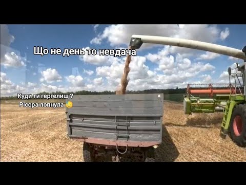 Видео: Збір врожаю 2025.Врожацність по 10 центнерів 😔 от що робить перегруз лопнула ресора , 8 тон на 2птс4