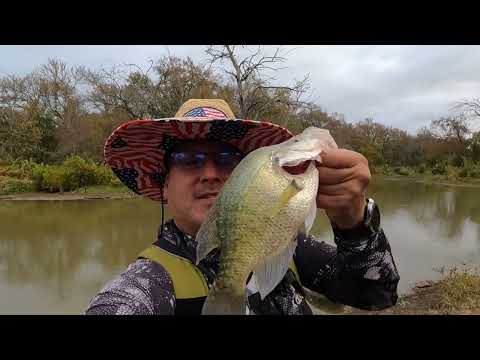Видео: Клёв ранней осени на краппи стремительно приближается! Октябрь 2025/ Обзор кемпингового фонаря OGERY