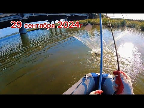 Видео: Наловил мешок карасей. Первый выезд осени. Рыбалка на паук подъемник. #рыбалка #낚시 #fishing