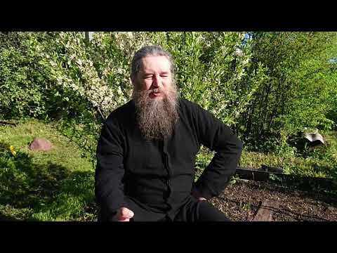 Видео: О стерилизации животных