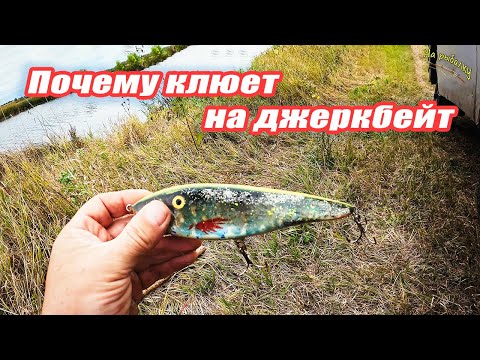 Видео: Почему клюет на джеркбейт! Рыбалка на щуку. #каналнарыбалку#щука#щуканаджеркбейт