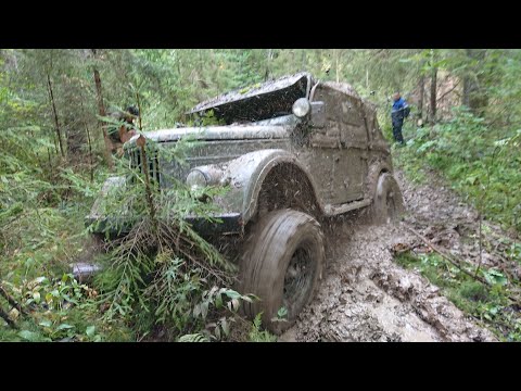 Видео: OFF ROAD. Тёмное болото. Бобры утопили дорогу. ГАЗ-69 и 469 УАЗы.