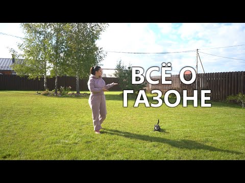 Видео: Газон: подготовка, посев, уход и лайфхак