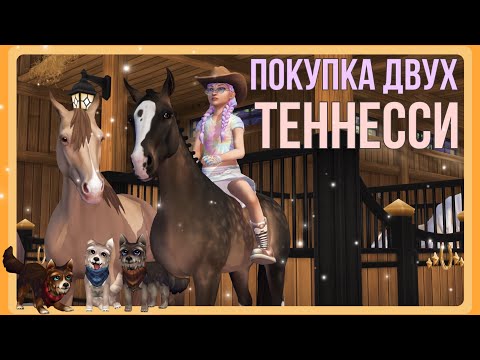 Видео: ТЕННЕССИ Х2 - покупка с Ярмарки | Star Stable