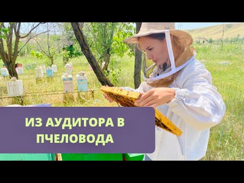 Видео: Выпуск #10 | Как выглядит племенная пасека девушки-пчеловода в Шымкенте?