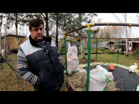 Видео: чем кормить кроликов основные правила