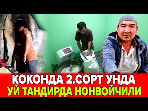 Видео: КОКОН ЯПАН КИШЛОГИДА 2.СОРТ УНДА ХАМИР КИЛИШНИ УРГАТТИК ЭНДИ СОЛА СОЛ БОШЛАНДИ