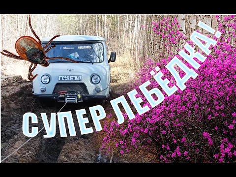 Видео: Внедорожье ДОМ НА КОЛЕСАХ. Супер лебедка!