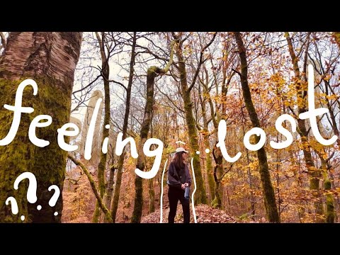 Видео: Стоит ли быть ветеринаром?