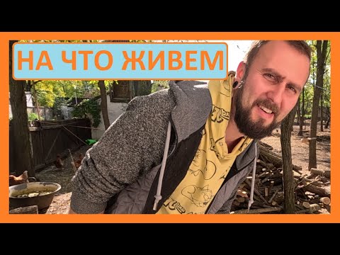 Видео: Как мы зарабатываем в Эмиграции.