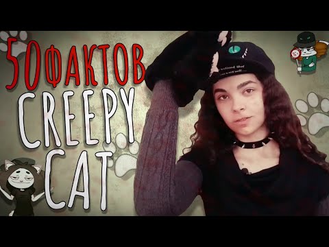 Видео: 50 ФАКТОВ О CREEPY CAT (@CREEPYCAT)