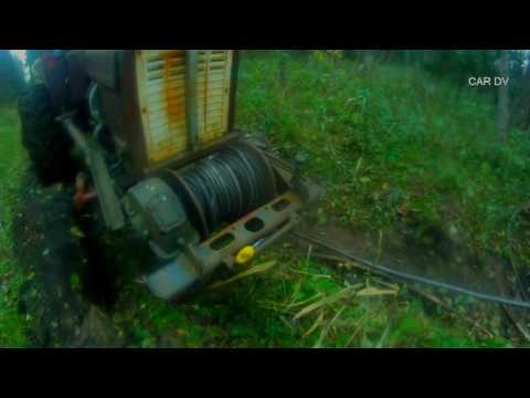 Видео: т25 лесной и настырный тараканчик