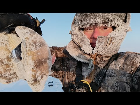 Видео: КОНЕЦ ПОЛЯРНОЙ НОЧИ!! РЫБАЛКА В -40!! РАЗВЕДКА ПО ОКУНЮ! ГДЕ КРУПНЯК?