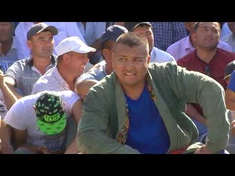 Видео: Чорбог кураш 2019 .10. Самандар