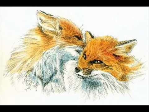 Видео: рыжий лис. канцлер ги.wmv