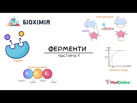 Видео: Ферменти | Будова, Класифікація, Механізм дії