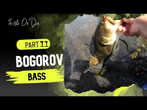 Видео: Бас на Богоров - Bass at Bogorov part 2