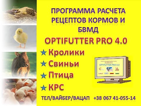 Видео: OPTIFUTTER PRO 4-0 ЗНАКОМСТВО С ПРОГРАММОЙ РАСЧЕТА РЕЦЕПТОВ КОРМОВ ДЛЯ СВИНЕЙ, ПТИЦЫ, КРС, КРОЛИКОВ