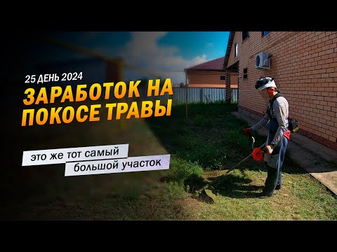 Видео: 25 | Это же тот самый, большой участок. Заработок в деревне на покосе травы триммером.
