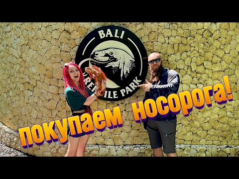 Видео: Путешествие по Индонезии/ Рептильный рай на Бали