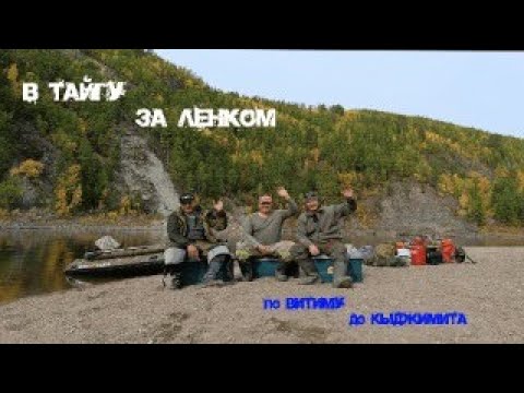 Видео: РЕКА КЫДЖИМИТ Ч1.| В ТАЙГУ ЗА ЛЕНКОМ ПО ВИТИМУ | ТУДА ГДЕ ЕСТЬ МНОГО РЫБЫ | ПОПАЛИ НА ЖОР ЛЕНКА