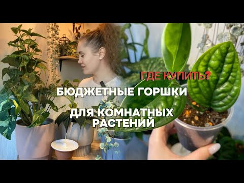 Видео: Бюджетные горшки/кашпо для растений и обзор растений