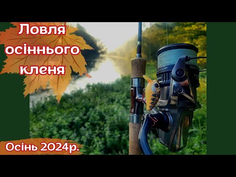 Видео: Ловля осіннього кленя-головня р. Серет. Осінь 2024