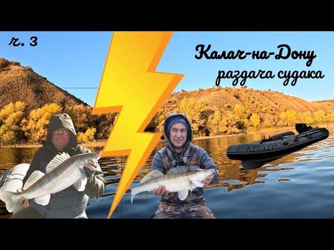 Видео: РАЗДАЧА судака Третий день НА ВОДЕ ЛОВИМ около моста КАЛАЧ-на--ДОНУ