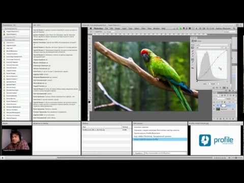 Видео: Обзор курса Adobe Photoshop. Продвинутый уровень. Журавлев. А.