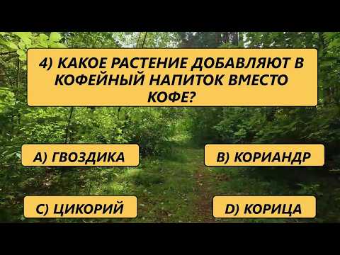 Видео: Тест для ясного ума, оцените мудрость ваших лет! Вопросы, достойные вашего опыта!