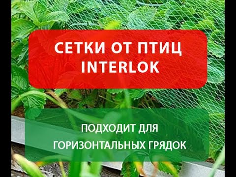 Видео: Сетка от птиц INTERLOK
