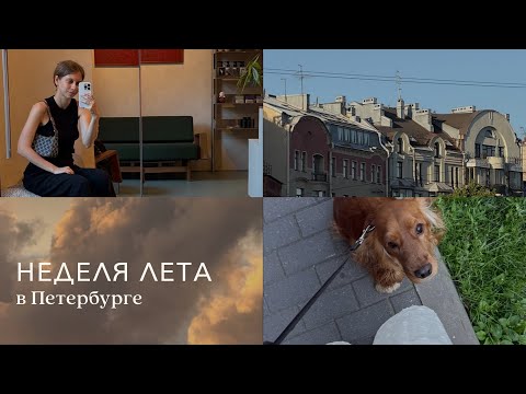 Видео: влог | неделя лета, урок рисования, суббота, мои планы