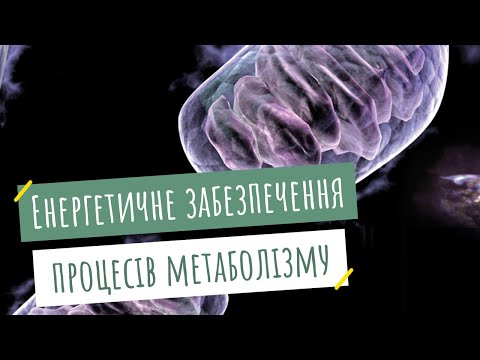 Видео: Енергетичне забезпечення процесів метаболізму